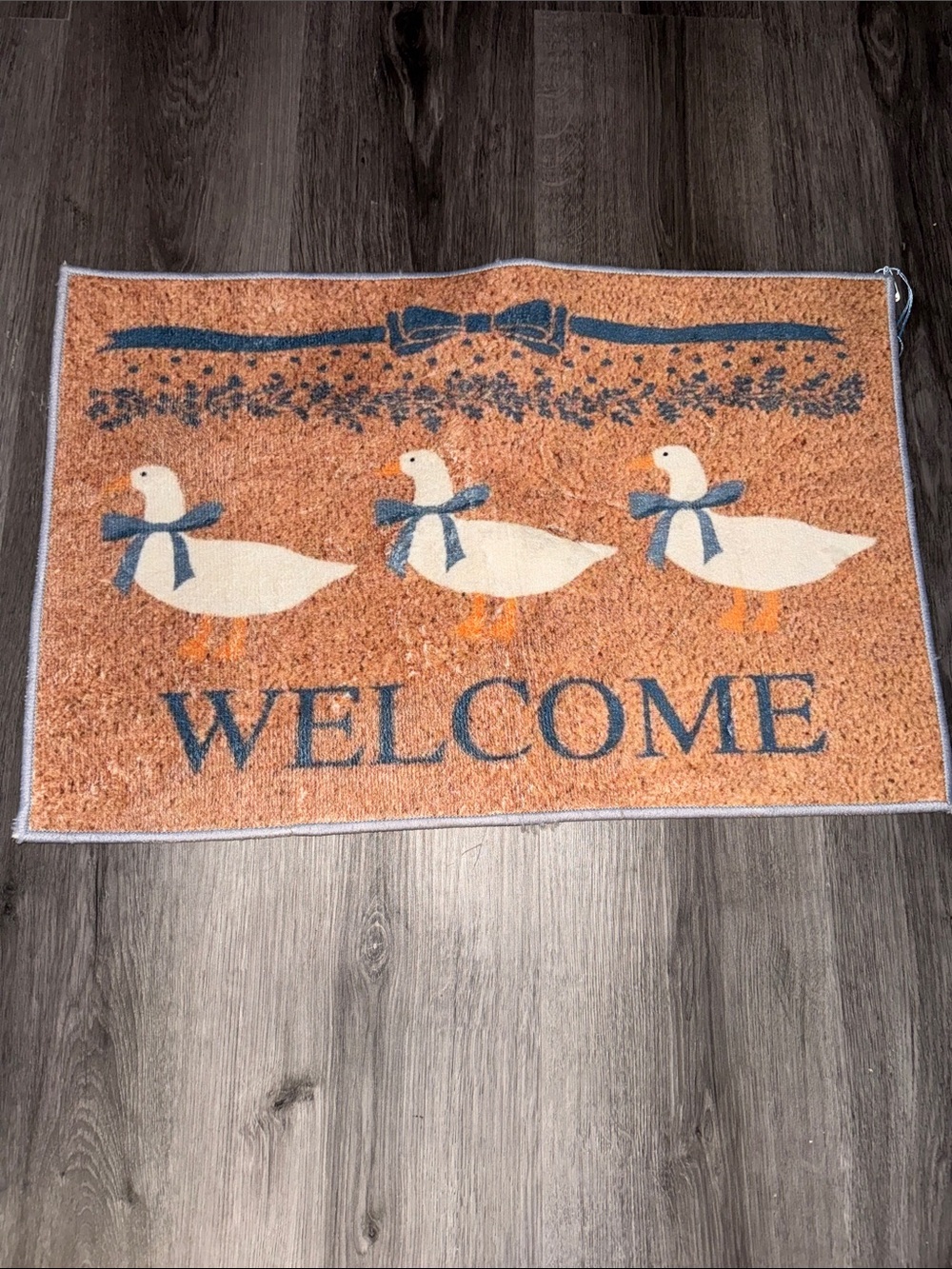 Welcome Duck Doormat - Neutral Tan with Blue Accents